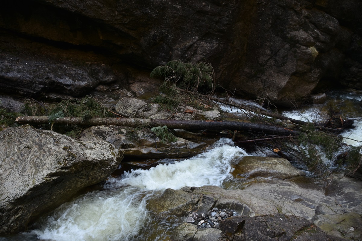 Sturmschäden in der Starzlachklamm