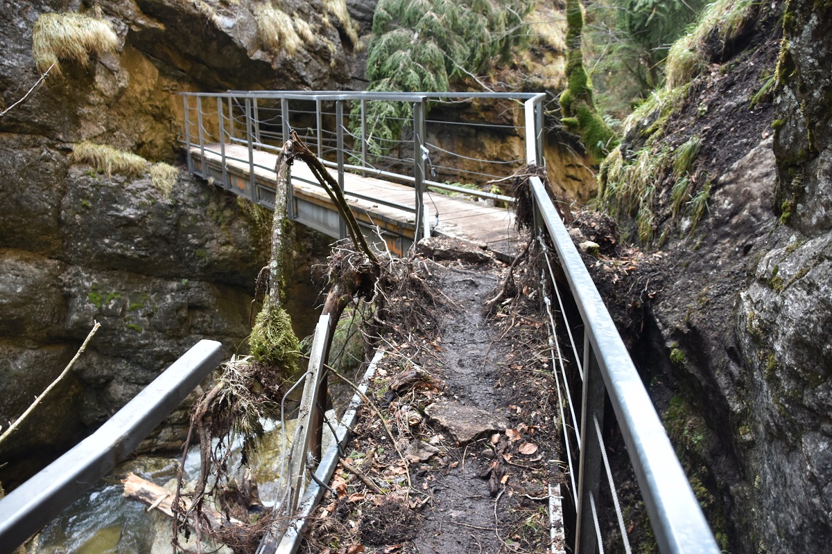 Sturmschäden in der Starzlachklamm