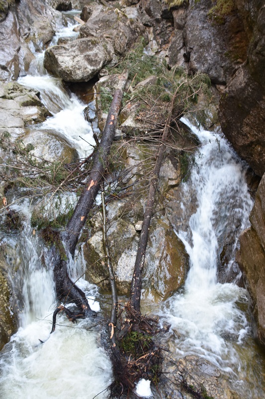 Sturmschäden in der Starzlachklamm