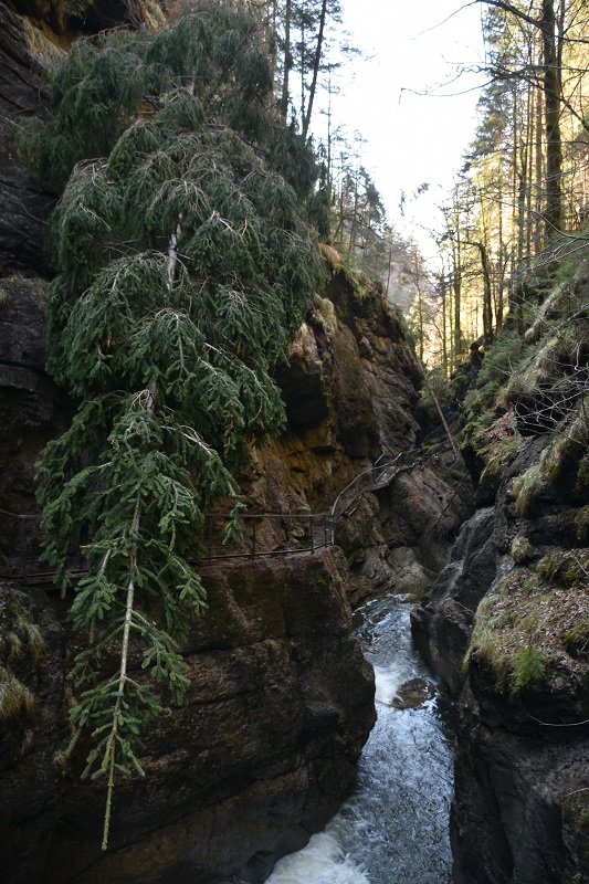 Sturmschäden in der Starzlachklamm