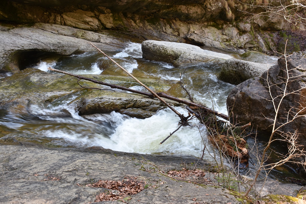 Sturmschäden in der Starzlachklamm