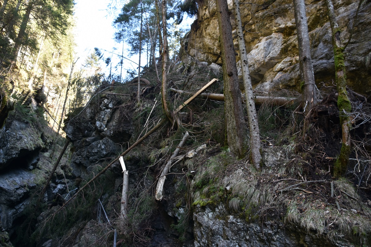 Sturmschäden in der Starzlachklamm
