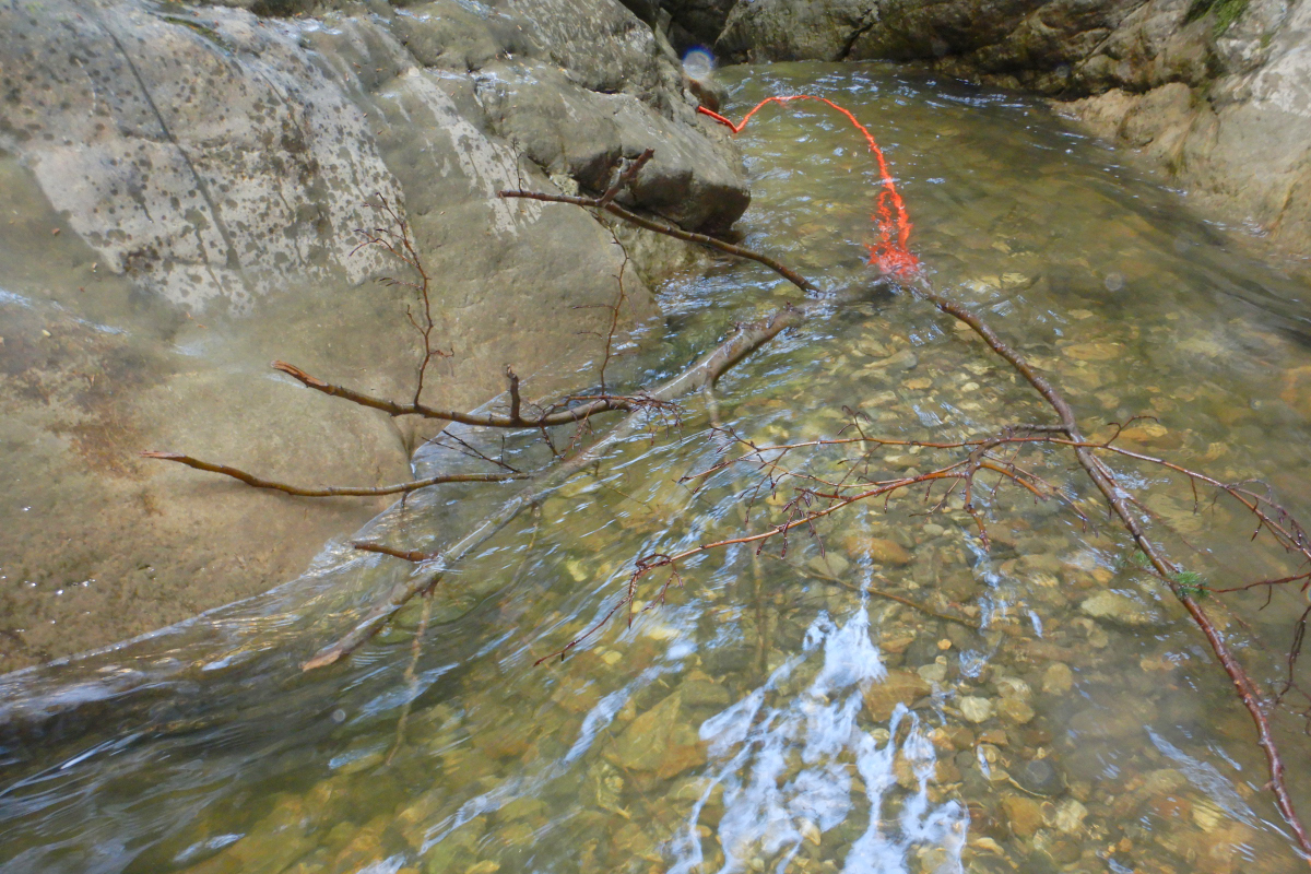Reinigung in der Starzlachklamm