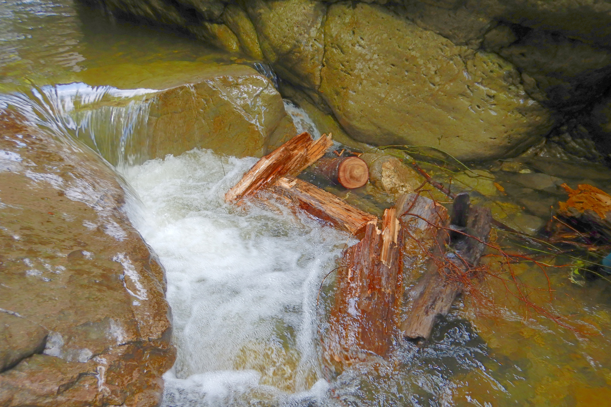 Reinigung in der Starzlachklamm