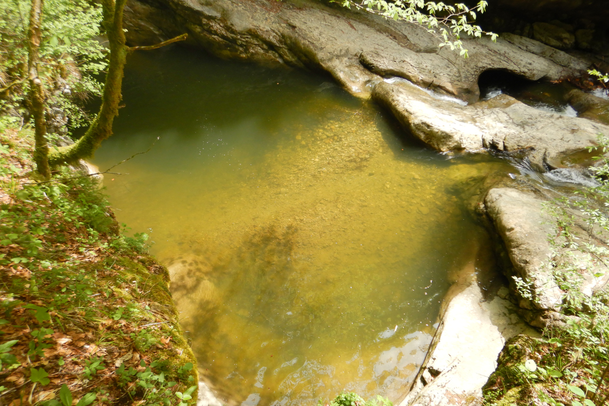 Reinigung in der Starzlachklamm
